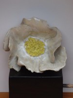 /album/fleurs-vases/fleur-sur-pied-1-jpg/